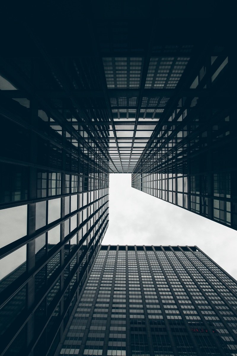 Donec sed nibh rutrum.